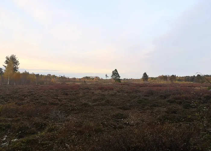 Hirt Отель Deisslingen